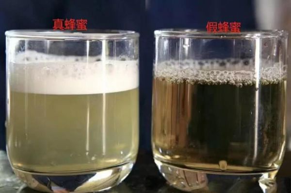 家庭常用蜂蜜真假鉴别实验组合图