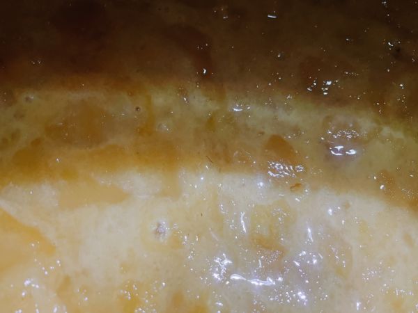 显微镜下的蜂蜜晶体结构对比图