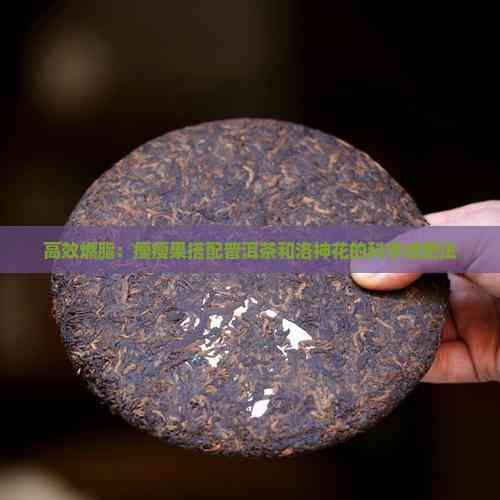 高效燃脂：瘦瘦果搭配普洱茶和洛神花的科學(xué)減肥法