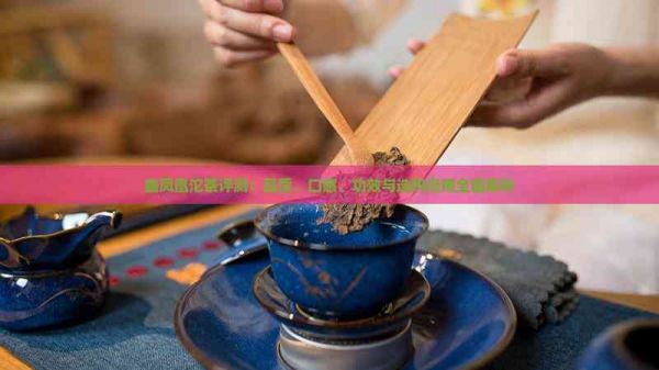 鑫鳳凰沱茶評(píng)測(cè)：品質(zhì)、口感、功效與選購指南全面解析