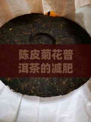 陳皮菊花普洱茶的減肥效果分析