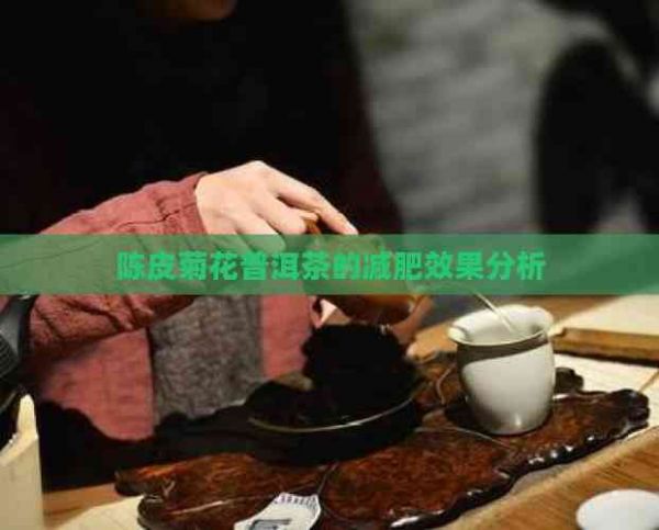 陳皮菊花普洱茶的減肥效果分析