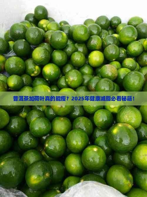 普洱茶加荷叶功效