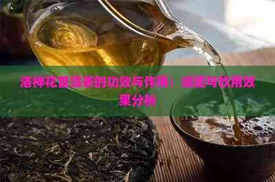 洛神花普洱茶的功效与作用：减肥与饮用效果分析