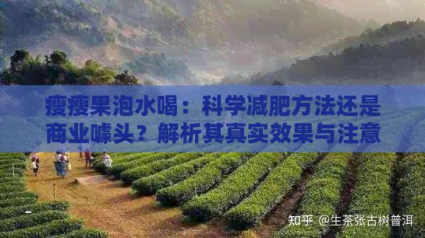 瘦瘦果泡水喝：科學(xué)減肥方法還是商業(yè)噱頭？解析其真實效果與注意事項