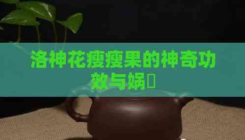 洛神花瘦瘦果的神奇功效與媧涚