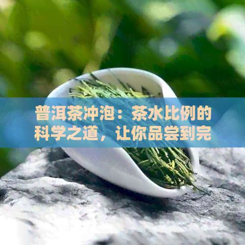 普洱茶冲泡：茶水比例的科学之道，让你品尝到完美的茶香