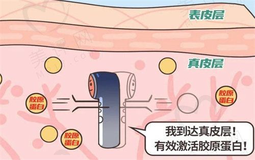 燃脂炮是不是骗局