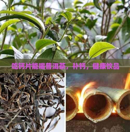 吃钙片能喝普洱茶