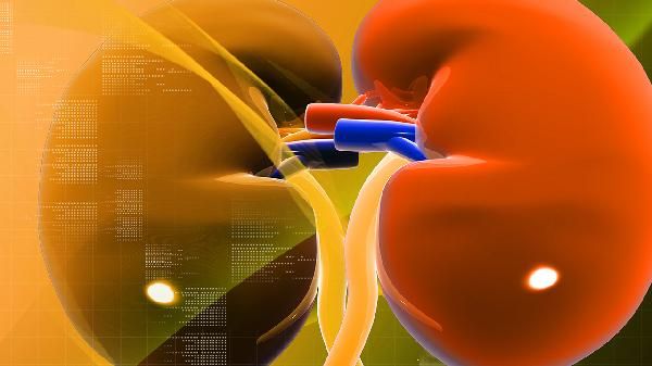 怎样预防肾功能衰竭 肾功能衰竭的五个预防妙招分享