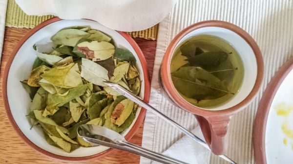 了解荷葉冬瓜皮減肥茶配方：更健康的減肥方法