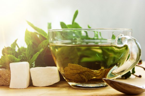 了解荷葉冬瓜皮減肥茶配方：更健康的減肥方法