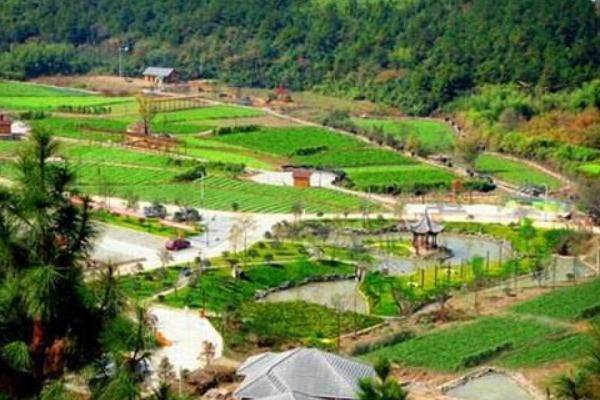 溫室黃瓜種植前景如何？附一畝黃瓜大棚利潤(rùn)分析