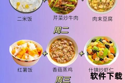 午餐选择指南_每日美味推荐与健康搭配全攻略