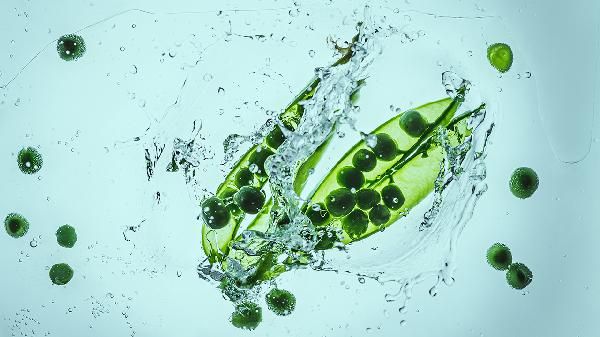 爆发力运动的饮食调理