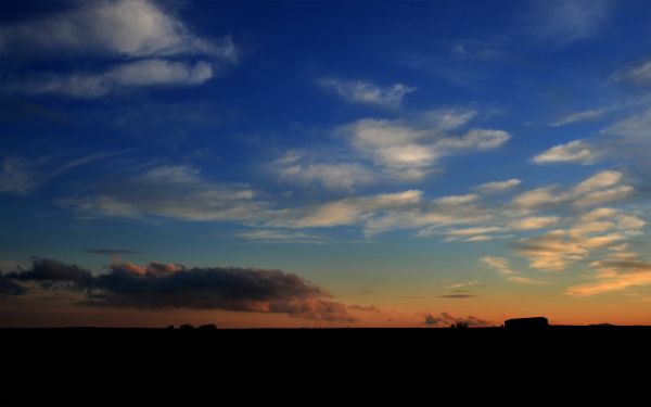 补充精血食物 有哪些
