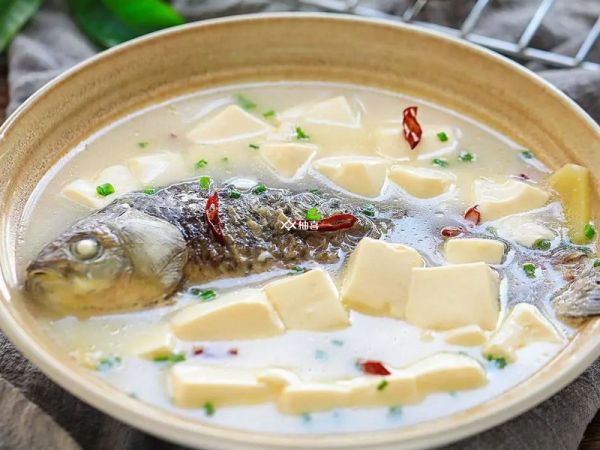 多吃富含蛋白质食物有助长高