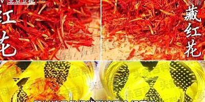 藏红花泡水后会褪色吗 藏红花一次放几根合适