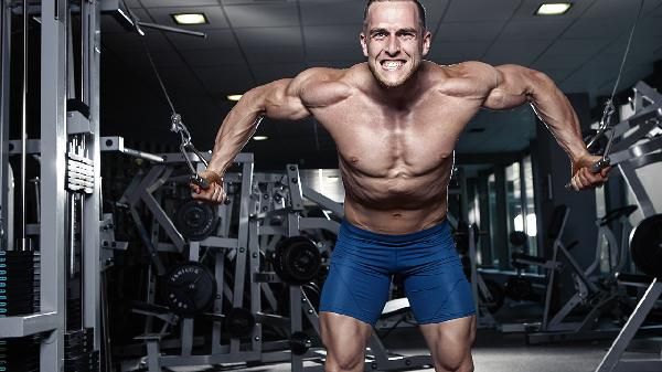 健美身材是什么意思