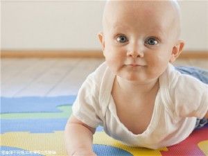 怀孕四个月的饮食原则，怀孕4个月吃什么炒菜好？