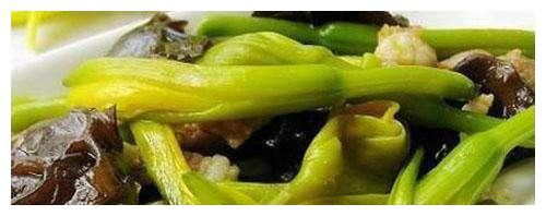 几道经典简单的家常菜，学会了让你做出大厨的味道，营养又健康