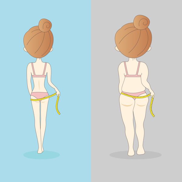 什么中药能减肥去脂肪