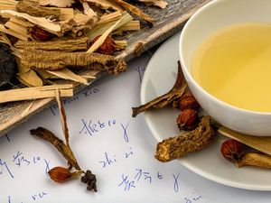 治疗肠道的中草药有哪些