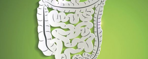 婴儿益生菌调理肠胃哪个牌子好 2024婴儿益生菌的排名前十 婴儿益生菌的排名前十