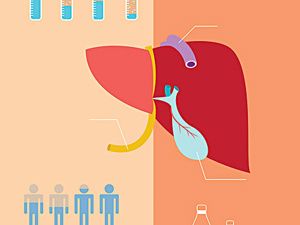因服藥肝功能下降的跡象