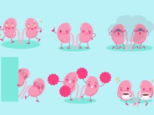 體力活干得多會(huì)腎虧嗎