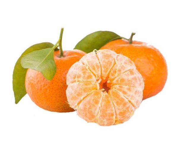 橙子埋在沙土中保存