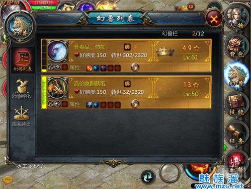 “養(yǎng)寵升級攻略：魔域?qū)櫸?，輕松突破等級！”