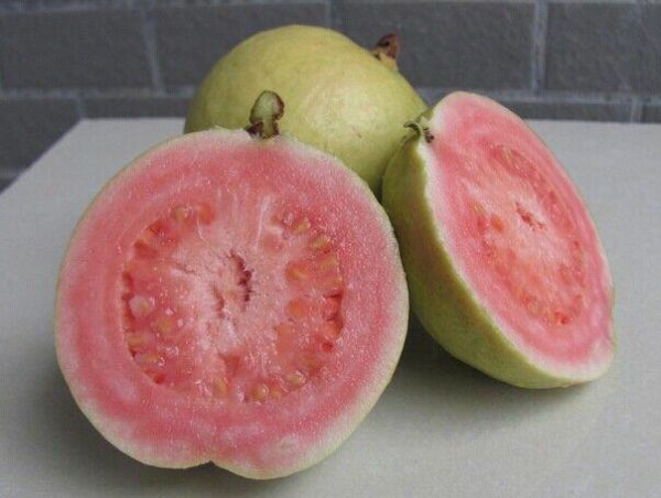 番石榴切开特写