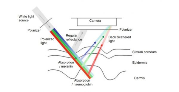 “皮肤光泽检测”助力千亿亮肤产业升级