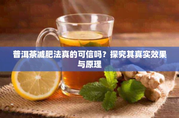 普洱茶减肥法真的可信吗？探究其真实效果与原理