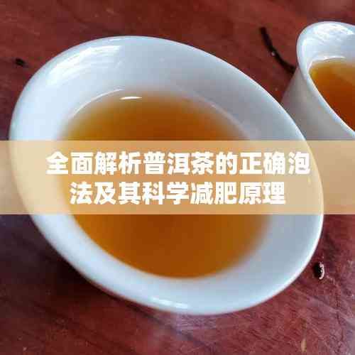 全面解析普洱茶的正确泡法及其科学减肥原理