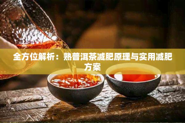 全方位解析：熟普洱茶减肥原理与实用减肥方案