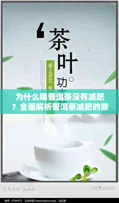 为什么喝普洱茶没有减肥？全面解析普洱茶减肥的原理与注意事项