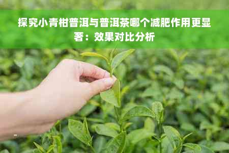 探究小青柑普洱与普洱茶哪个减肥作用更显著:效果对比分析