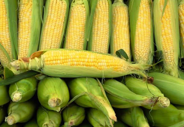 清蒸玉米配蔬菜沙拉