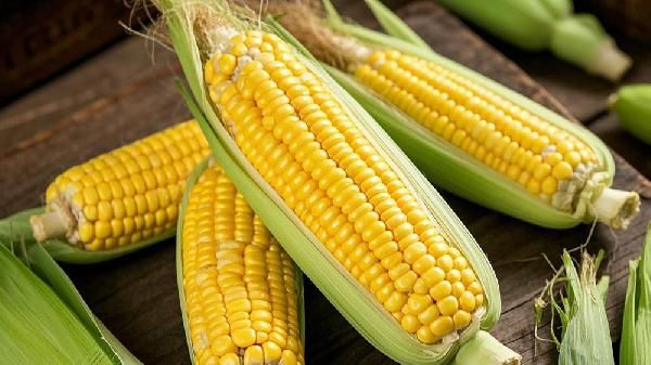 玉米糁再次被热议！医生发现：糖尿病患者喝玉米糁时，多重视3点