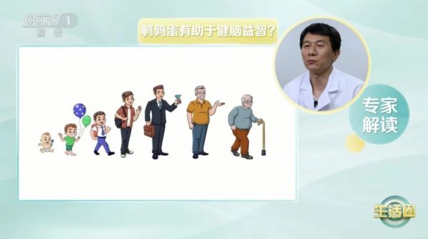 被稱為“動物人參”的它，比雞蛋更營養(yǎng)嗎？一口一個，讓你體質(zhì)更強、記性更好～