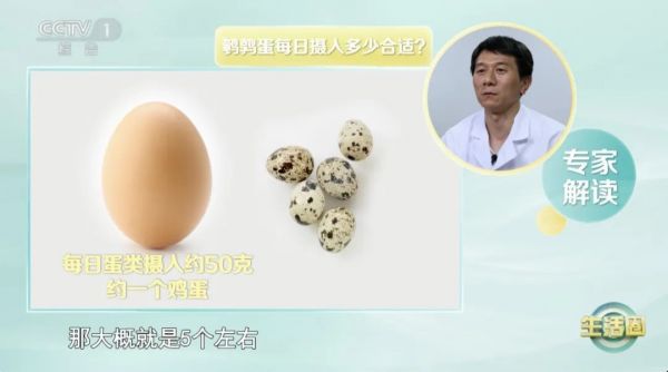 被稱為“動物人參”的它，比雞蛋更營養(yǎng)嗎？一口一個，讓你體質(zhì)更強、記性更好～