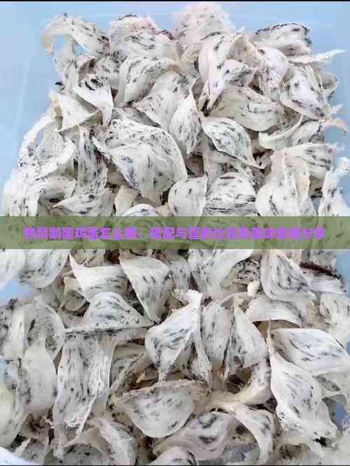 燕窝鹅蛋鸡蛋怎么做：搭配与营养比较及美味食谱分享