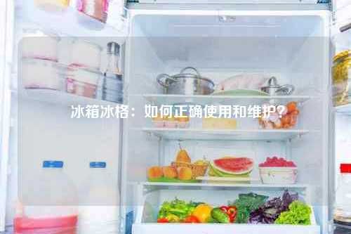  冰箱冰格：如何正确使用和维护？
