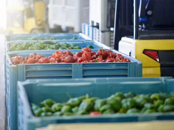 vegetables in crates