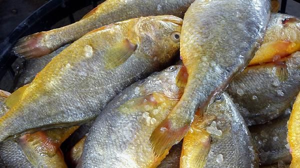 海鲜扇贝怎么处理