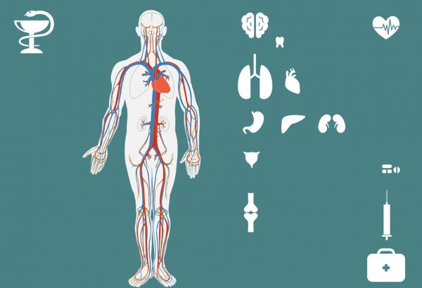 腳底按摩真的能補(bǔ)腎嗎？效果超乎你想象-2