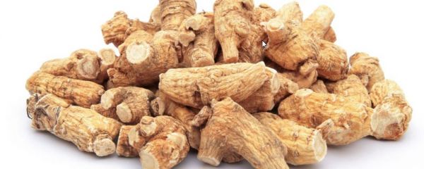 气虚体质受什么影响 如何改善气虚体质 女人气虚精神差怎么办