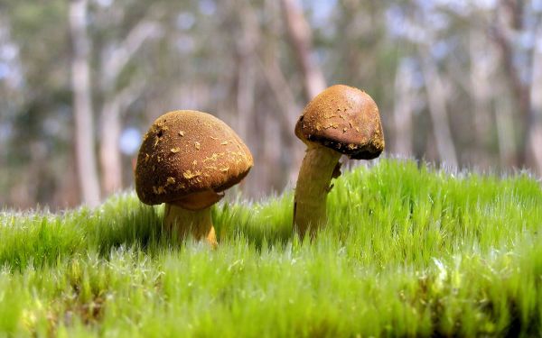 私处瘙痒起疙瘩 是怎么回事